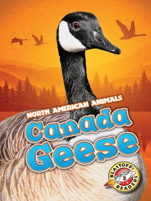 cover image of Canada Geese